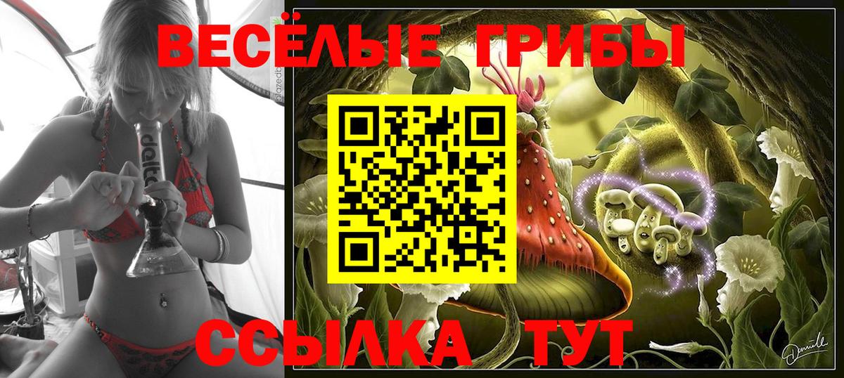 Шуя  Псилоцибиновые грибы мухоморы  Вход с VPN  купить наркоту  Галлюциногенные грибы MAGIC MUSHROOMS 