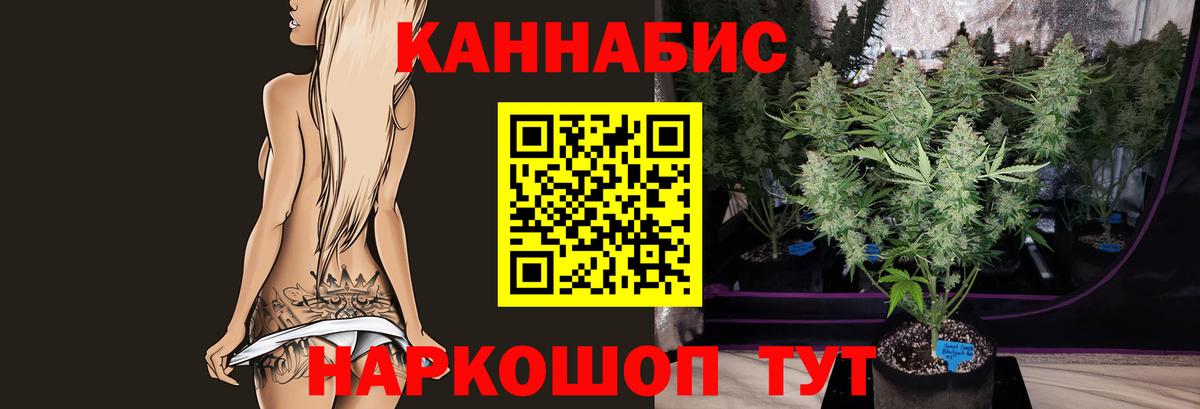 Каннабис Bruce Banner  Вход с VPN  Бошки Шишки THC 21%  Бошки марихуана THC 21%  Шуя 
